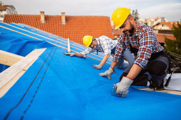Professional Roofing Contractor in Lochsloy, WA