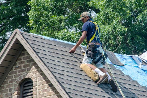 Best Roof Maintenance Services  in Lochsloy, WA